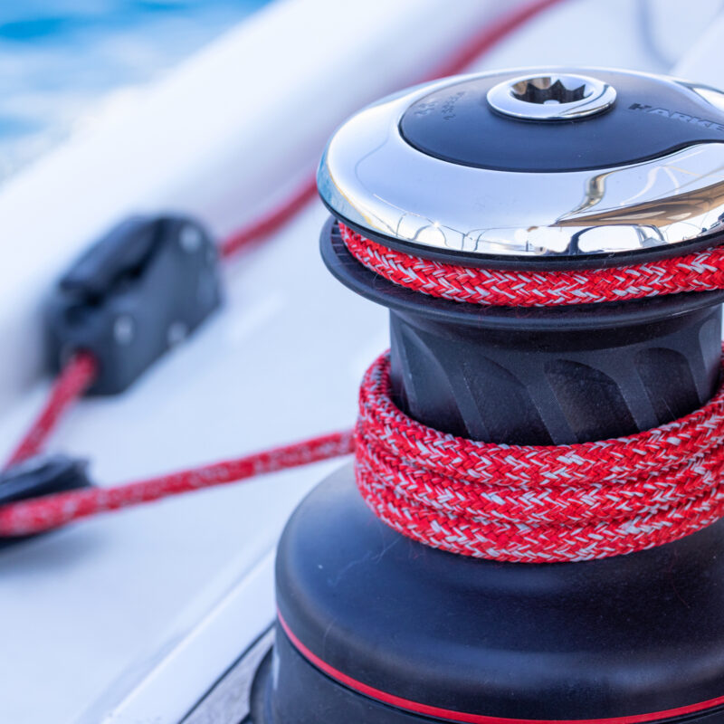 Heron gurubu fotografi